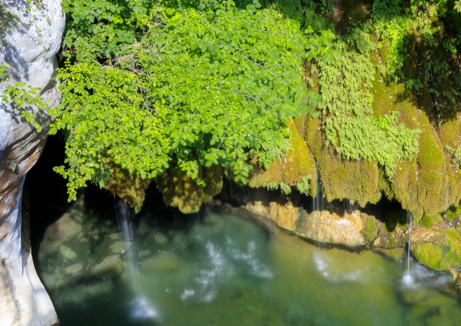 Saut du Loup · Flower Fields · Gourdon · Grasse · St Cassien